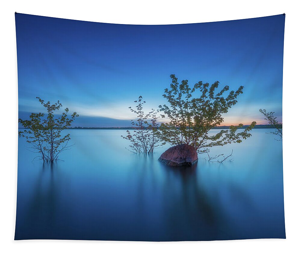 Trees Tapestry featuring the photograph Ottawa River by Henry w Liu