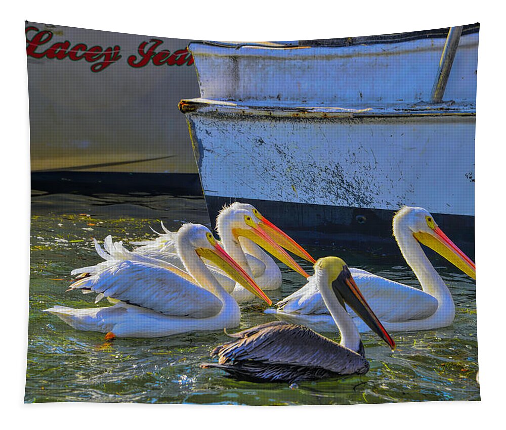 White Pelicans Tapestry featuring the photograph Out Shopping by Alison Belsan Horton