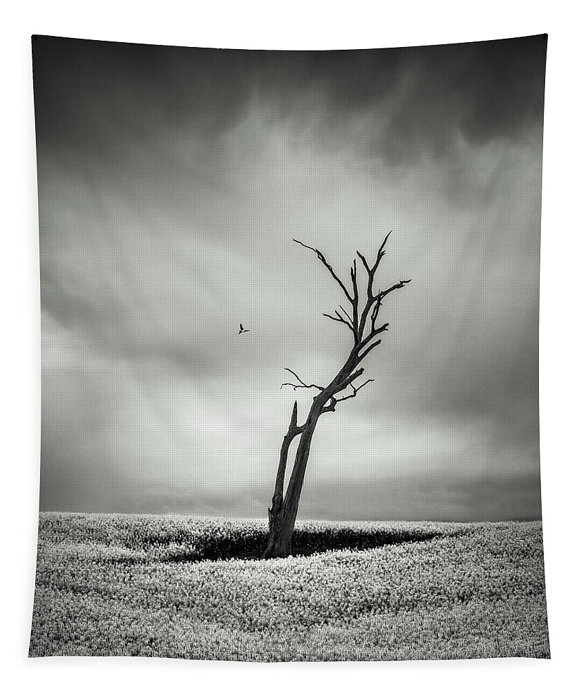 Monochrome Tapestry featuring the photograph Out West by Grant Galbraith