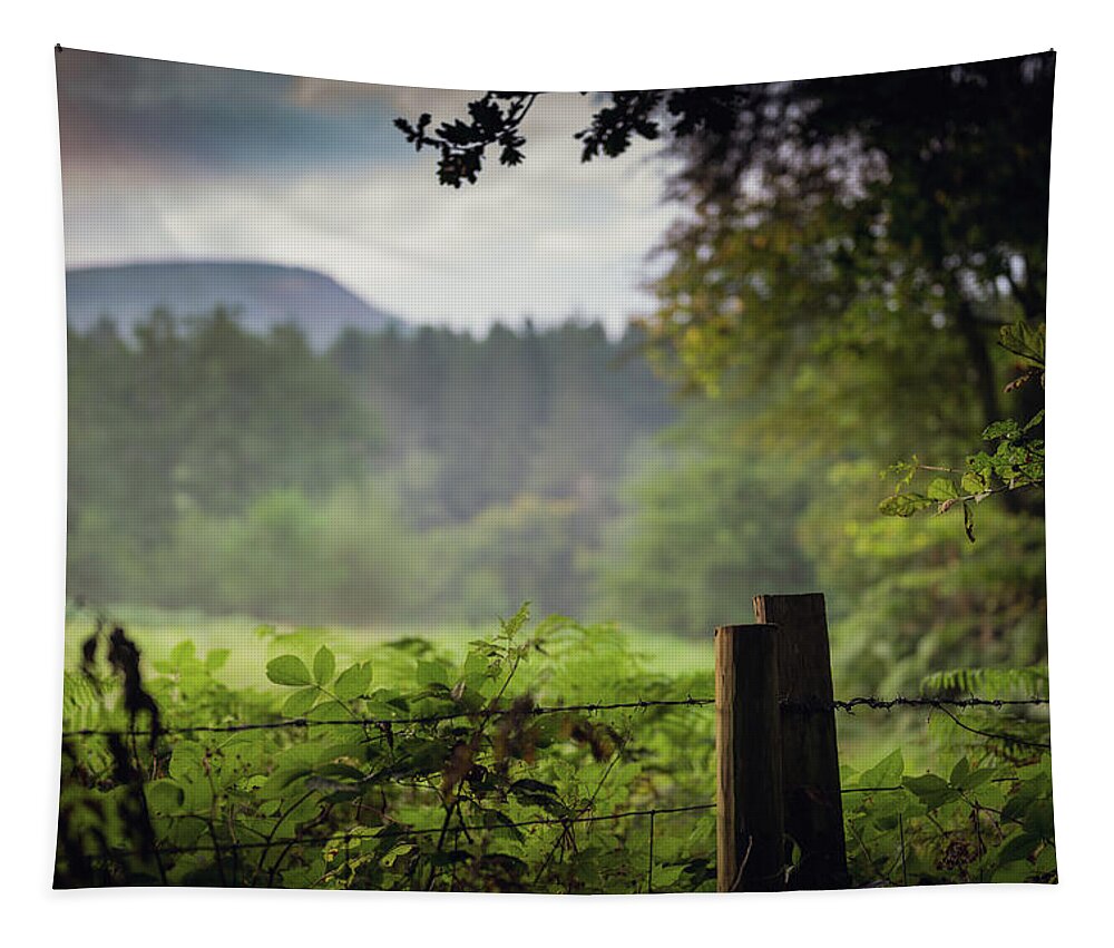 Fence Tapestry featuring the photograph Outside by Gavin Lewis