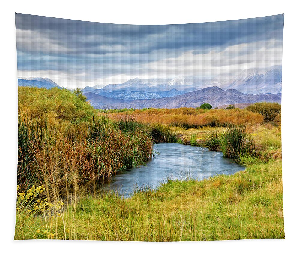 Owens-river Tapestry featuring the photograph Owens River by Gary Johnson