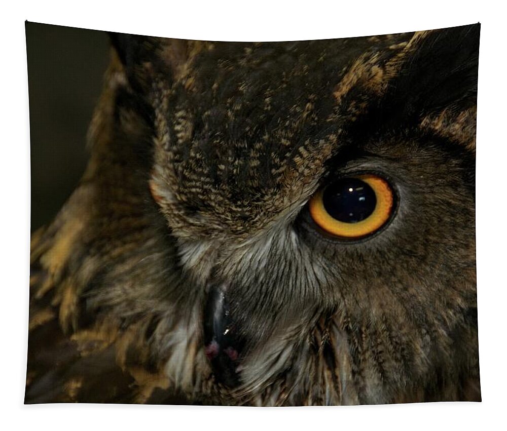 Animal Tapestry featuring the photograph Owl Be Seeing You by Melissa Southern