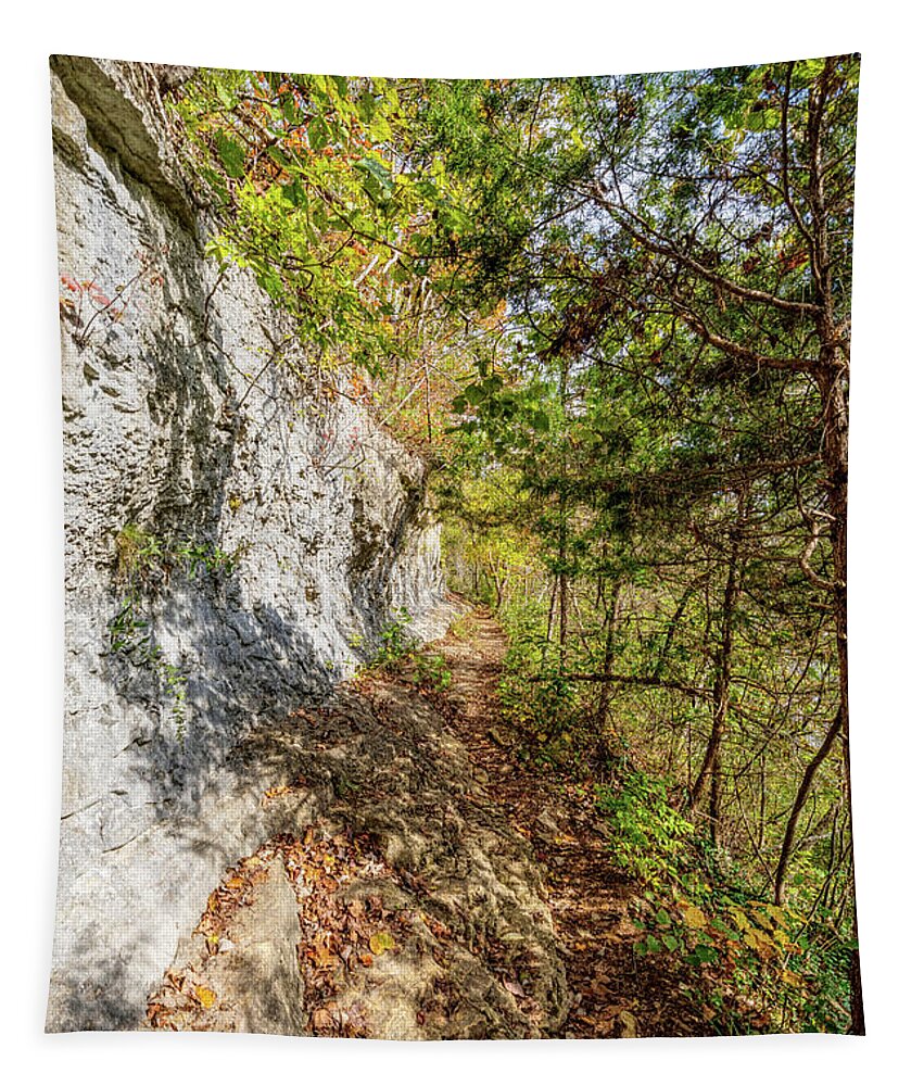 Branson Tapestry featuring the photograph Ozarks Autumn Bluff Hike by Jennifer White