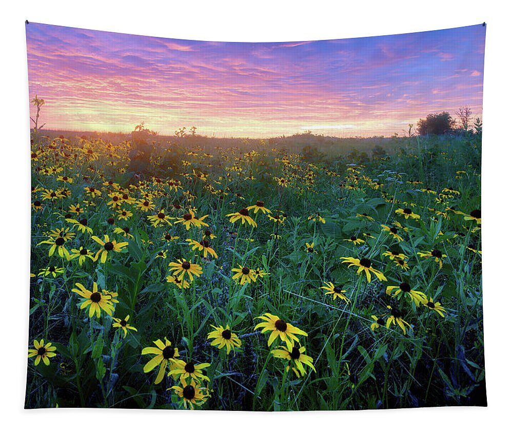 Conservation Area Tapestry featuring the photograph Paintbrush Prairie IV by Robert Charity