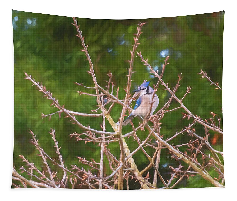 Nature Tapestry featuring the photograph Painted Blue Jay by John Kirkland