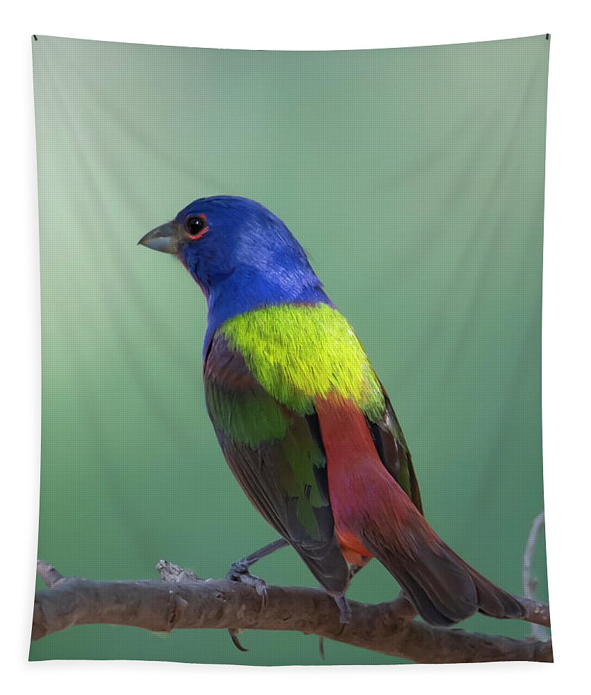 Painted Tapestry featuring the photograph Painted Bunting by Patrick Nowotny