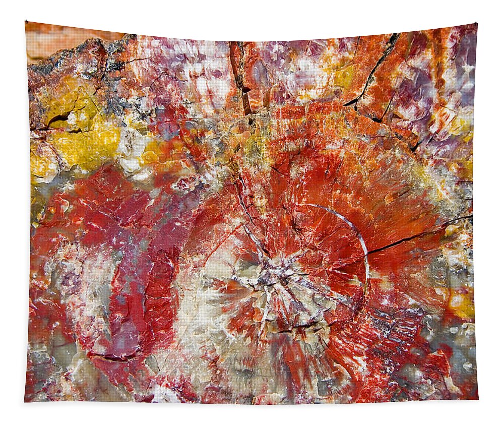 Petrified Wood Stone Texture Abstract Color Skip Hunt Tapestry featuring the photograph Painted Desert Wood 1 by Skip Hunt