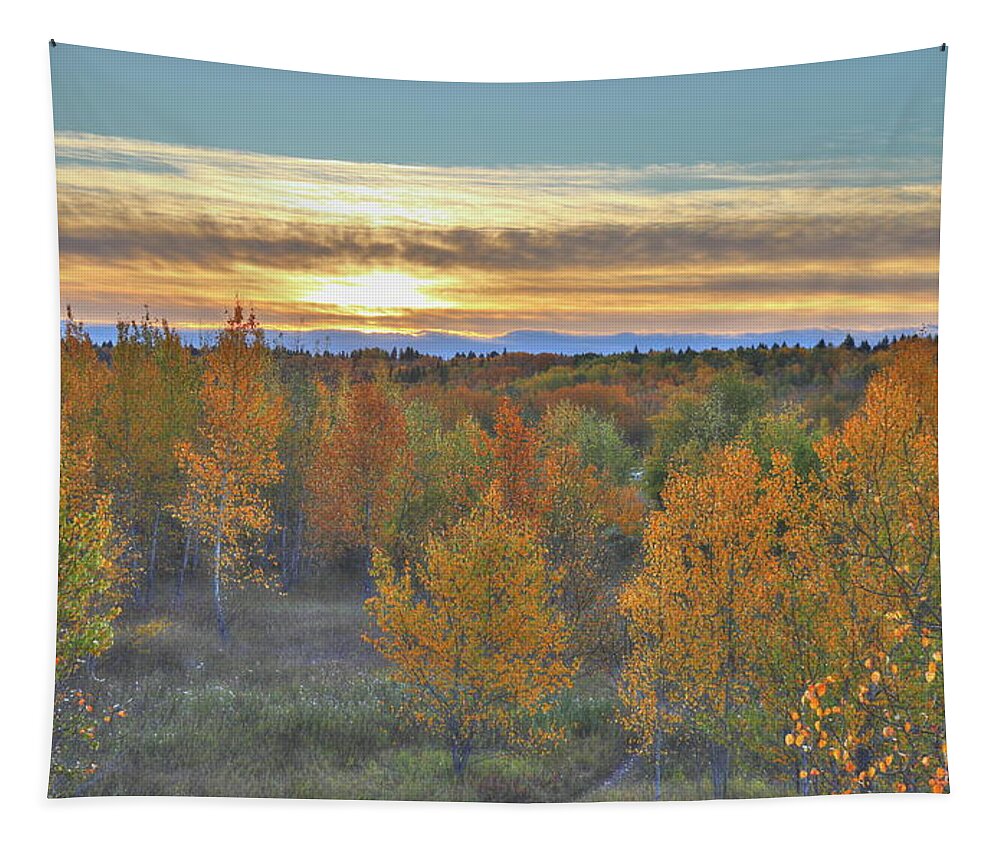 Sunrise Tapestry featuring the photograph Painted Sunrise by Jim Sauchyn