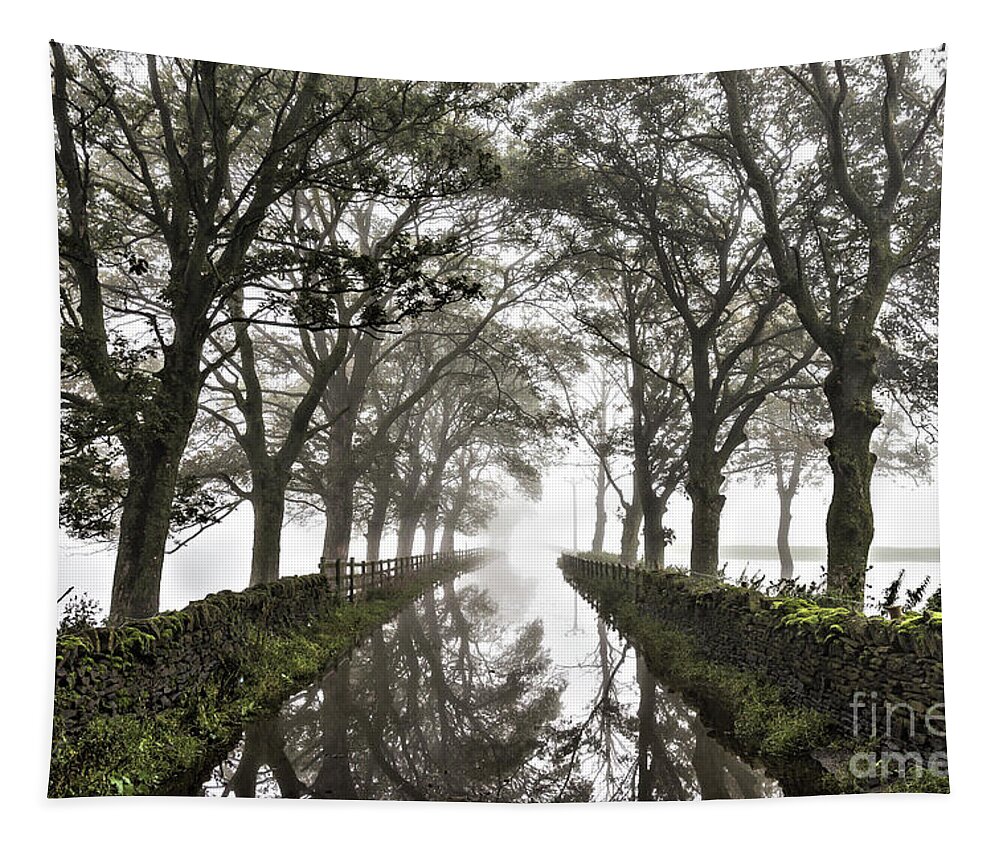 England Tapestry featuring the photograph Pale Lane, Skipton by Tom Holmes Photography