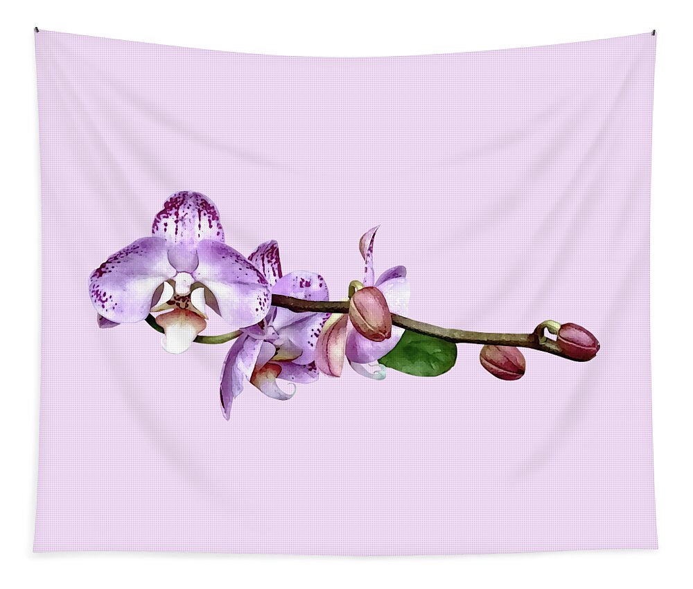 Orchid Tapestry featuring the photograph Pale Magenta Phalaenopsis Orchid by Susan Savad