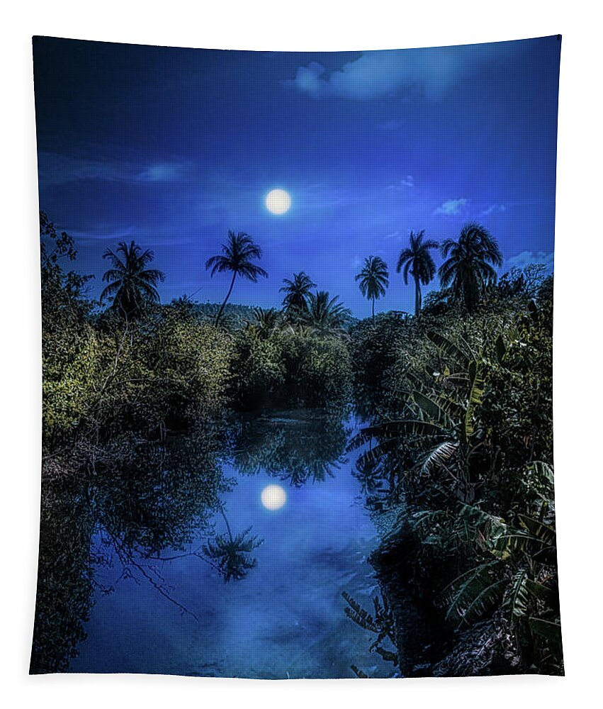 Cuba Tapestry featuring the photograph Pale moonlit night by Micah Offman