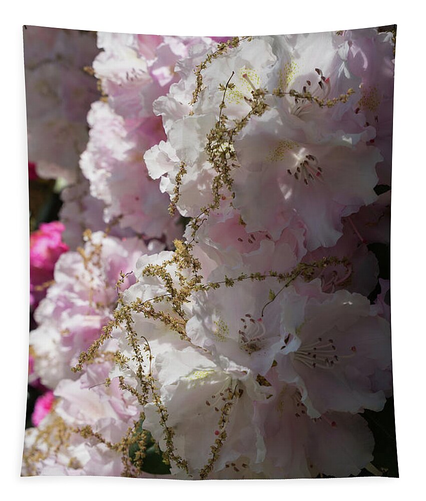 Rhododendron Tapestry featuring the photograph Pale pink rhododendron flowers 1 by Adriana Mueller