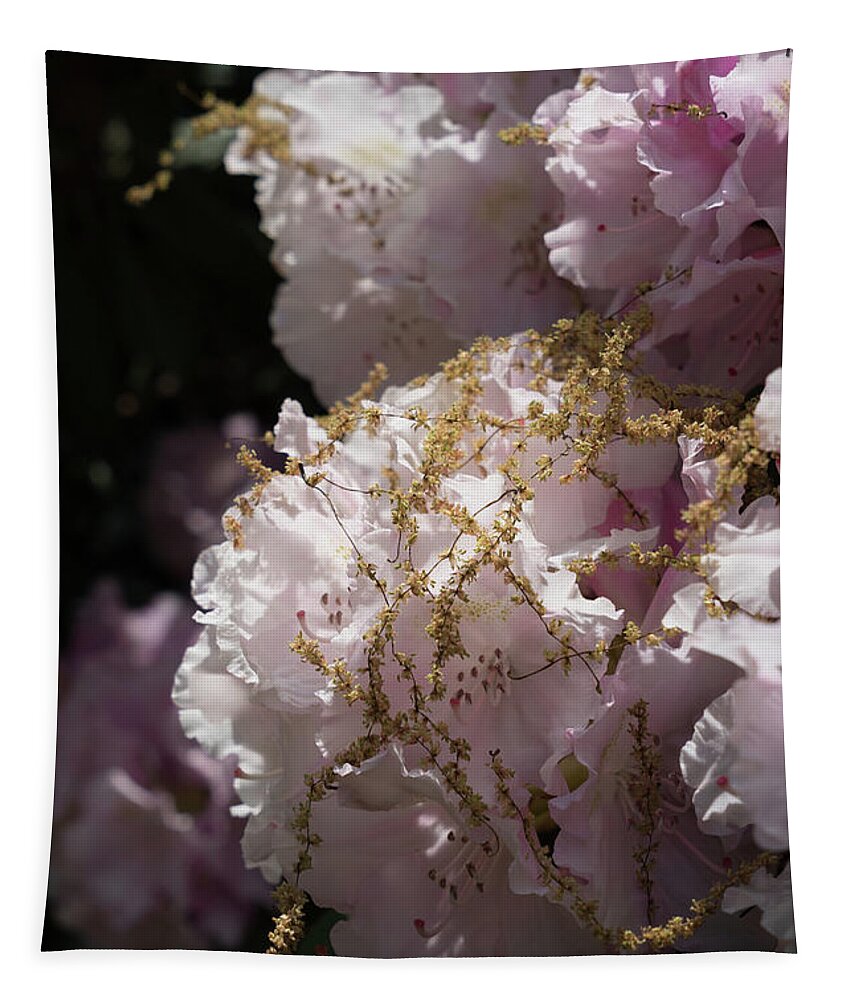 Rhododendron Tapestry featuring the photograph Pale pink rhododendron flowers 2 by Adriana Mueller