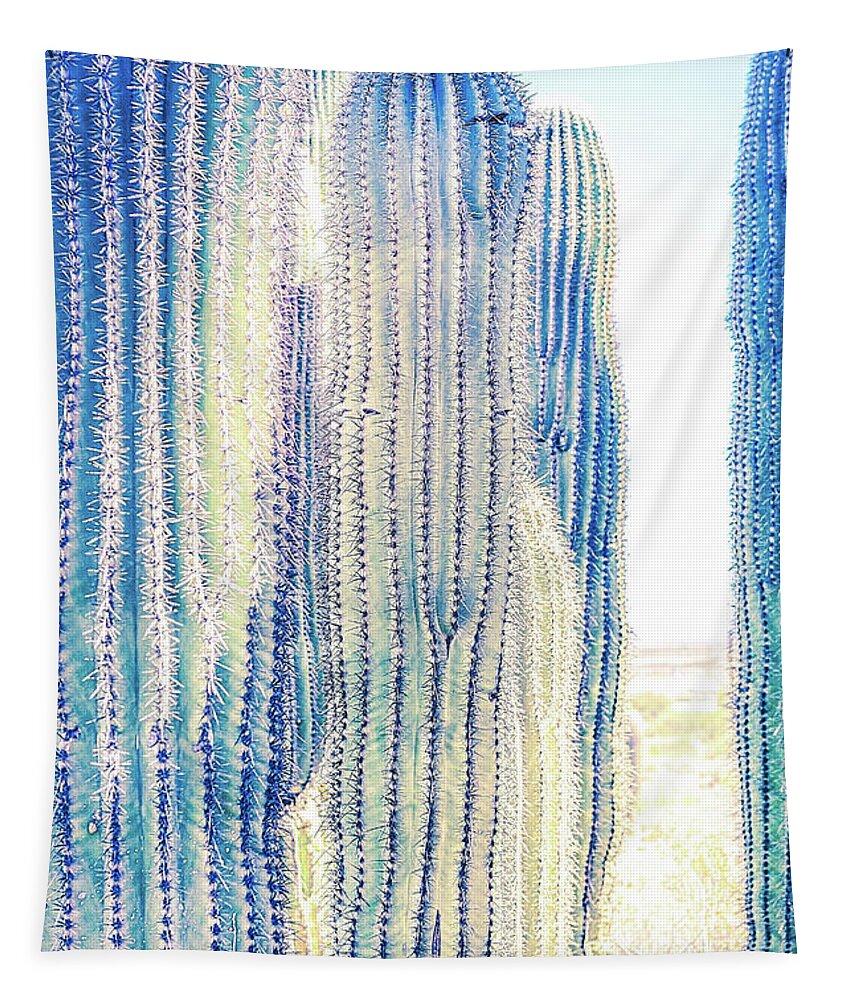 Arid Tapestry featuring the photograph Pale Saguaro Cacti #2 by Jennifer Wright