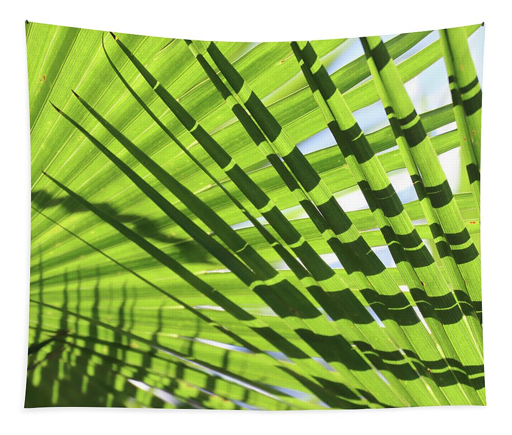 Layered Tapestry featuring the photograph Palm Leaves Pattern by David T Wilkinson