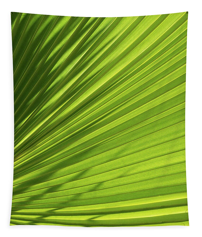 Palm Leaf Tapestry featuring the photograph Palm leaf with light and shadow 1 by Adriana Mueller