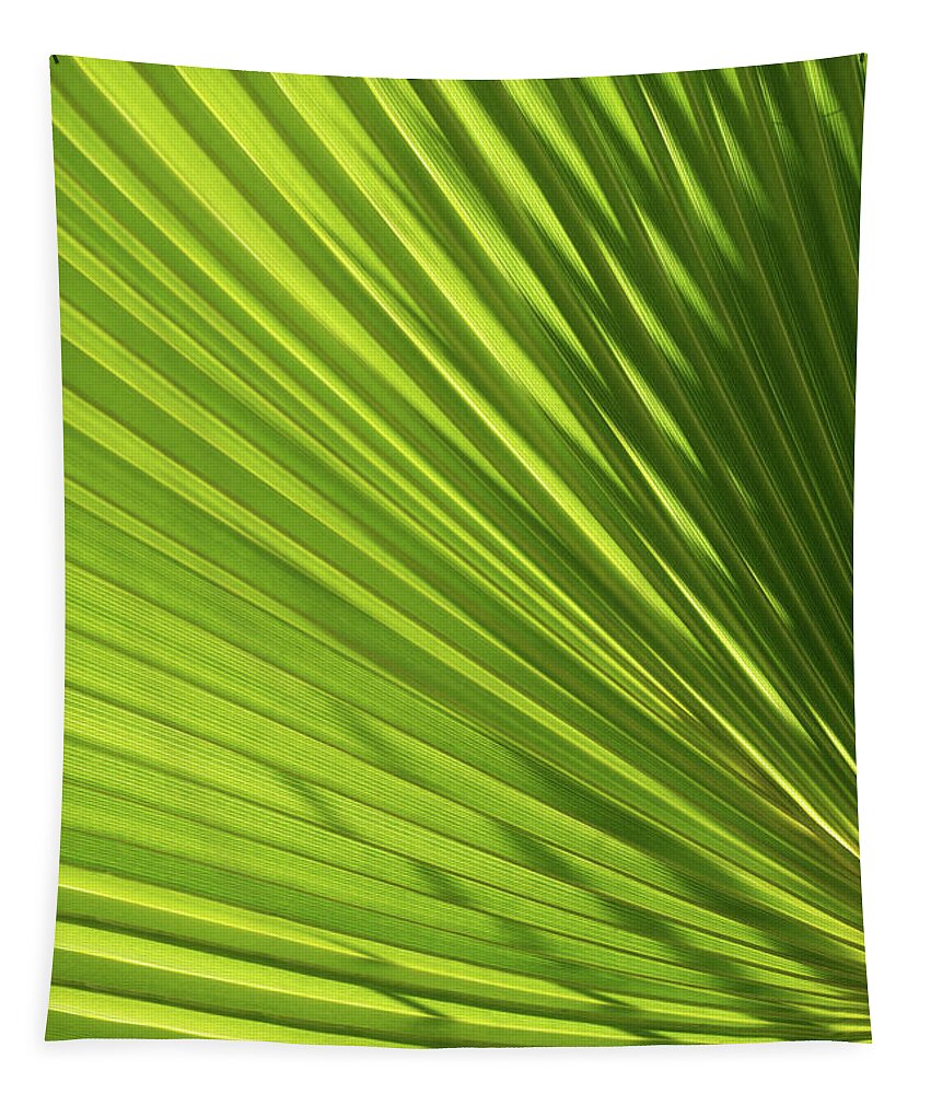 Palm Leaf Tapestry featuring the photograph Palm leaf with light and shadow 2 by Adriana Mueller