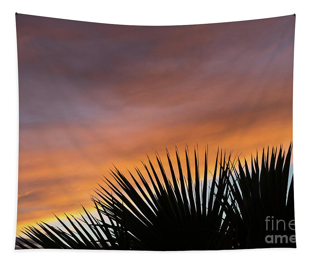 Palm Leaves Tapestry featuring the photograph Palm leaves and soft clouds at sunset by Adriana Mueller