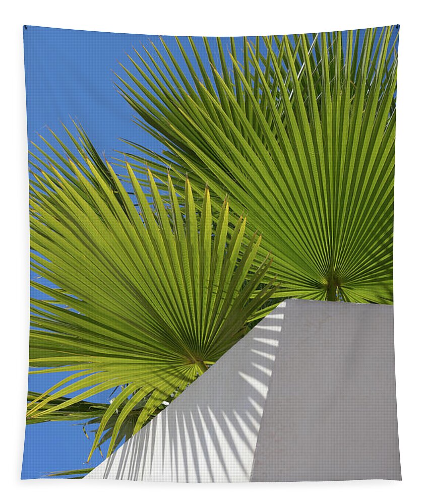 Palm Leaf Tapestry featuring the photograph Green palm leaves, blue sky and white wall of a modern finca 1 by Adriana Mueller