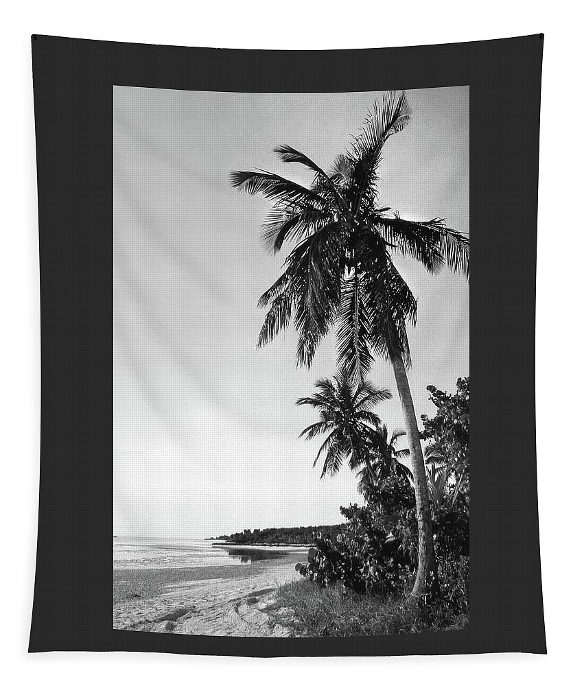 Fine Art Tapestry featuring the photograph Palm Tree by Mike McGlothlen