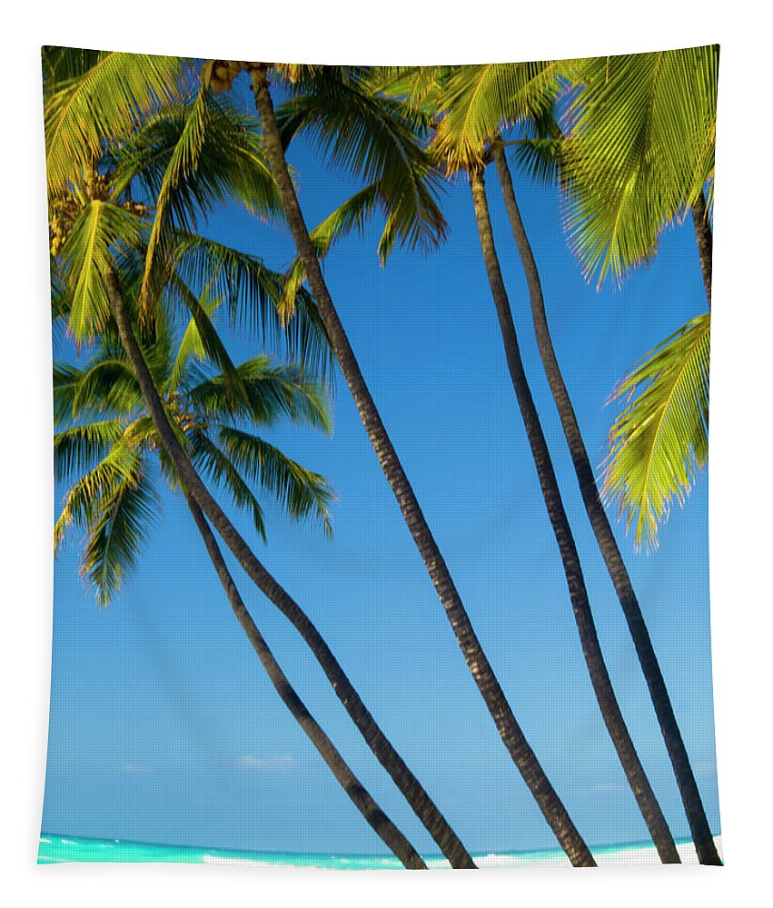 Kailua Kona Tapestry featuring the photograph Palm Trees At Mahaiula by Christopher Johnson