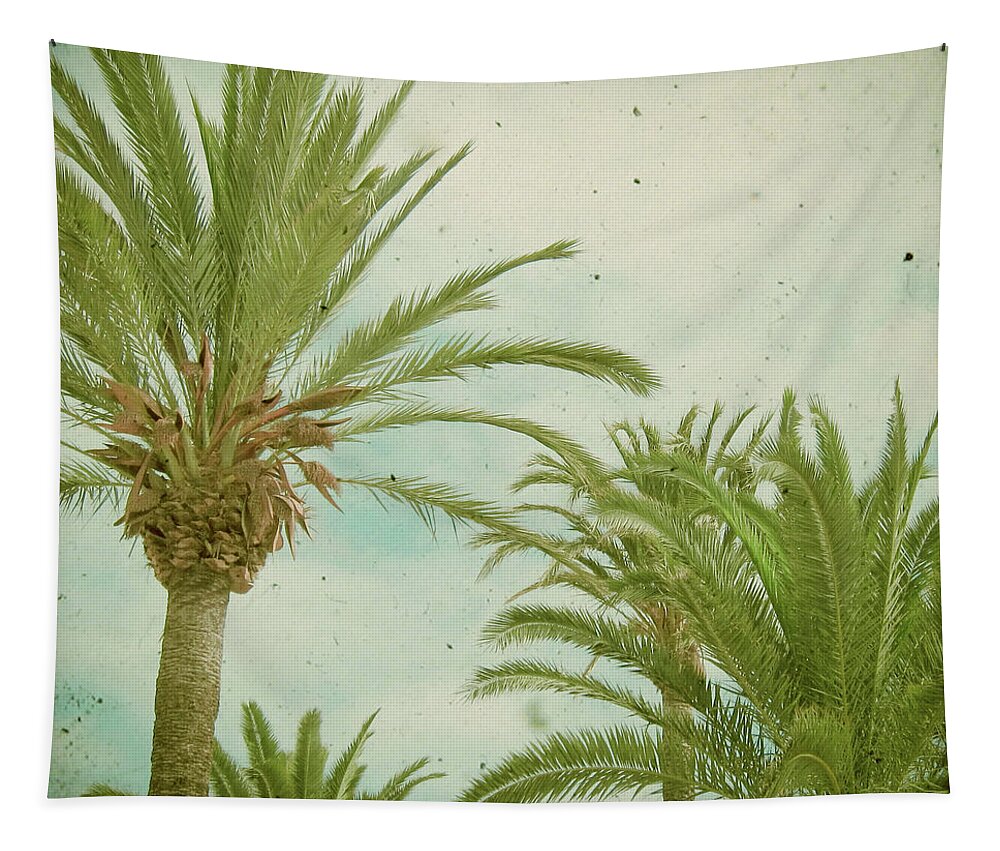 Palm Tree Tapestry featuring the photograph Palm Trees by Cassia Beck