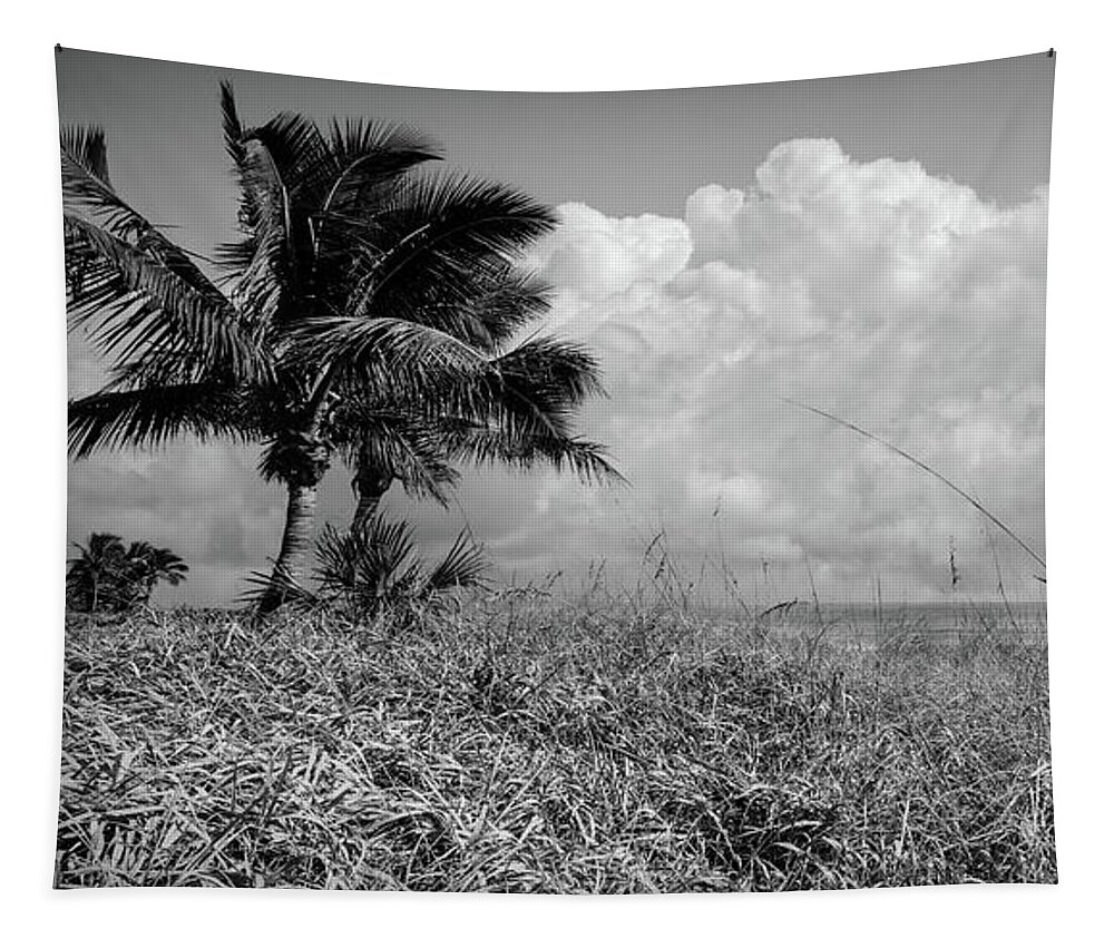 Black Tapestry featuring the photograph Palm Trees on the Sand Dunes Black and White by Debra and Dave Vanderlaan