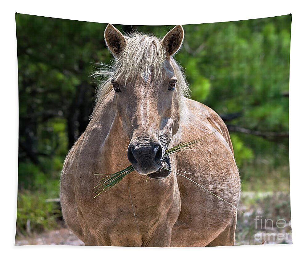 Horse Tapestry featuring the photograph Palomino horse by Rehna George