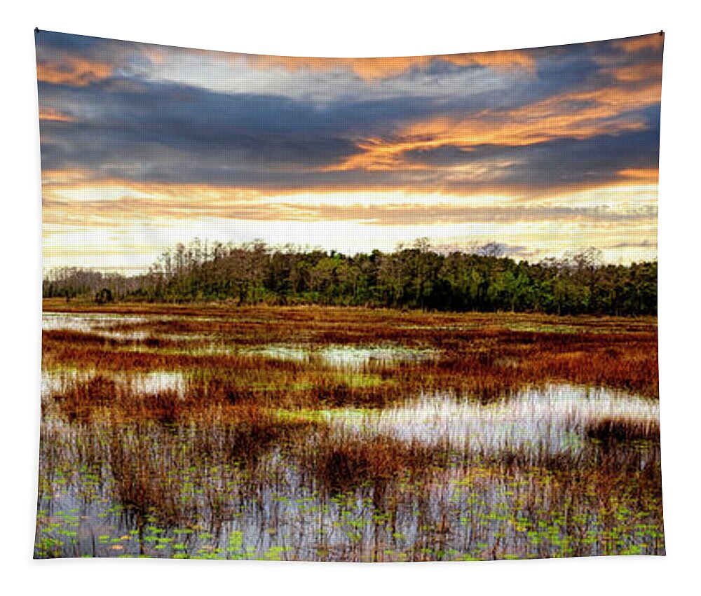 Clouds Tapestry featuring the photograph Panorama Overlooking the Marsh by Debra and Dave Vanderlaan