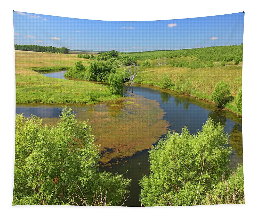 Lake Tapestry featuring the photograph Panoramic Landscape With Pond by Mikhail Kokhanchikov