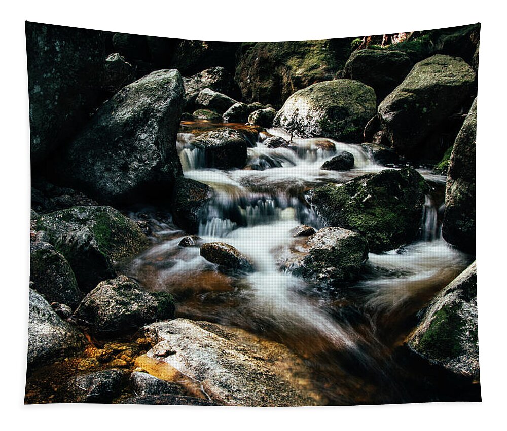 Jizera Mountains Tapestry featuring the photograph Picturesque river hidden in the Jizera Mountains by Vaclav Sonnek