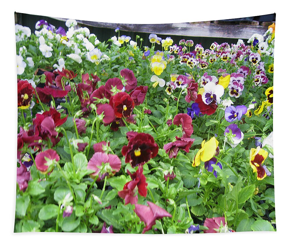 Pansies Tapestry featuring the photograph Pansy Power by David Zimmerman