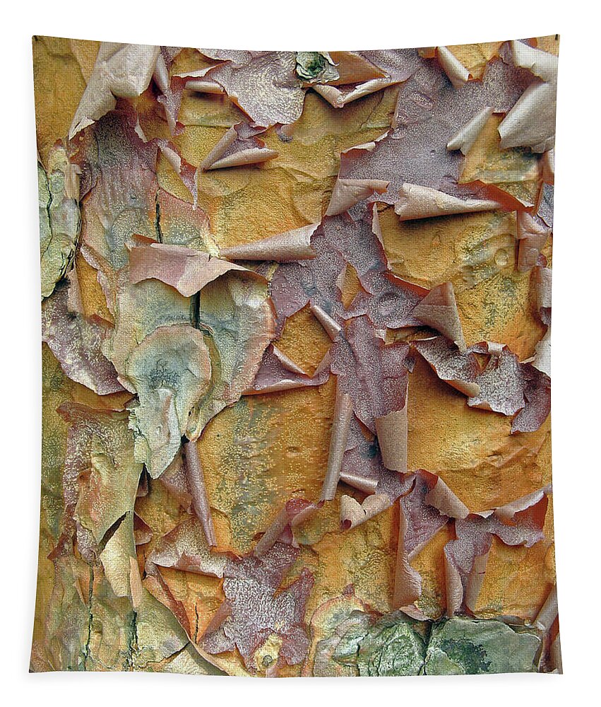 Tree Tapestry featuring the photograph Paperbark Maple Tree by Jessica Jenney