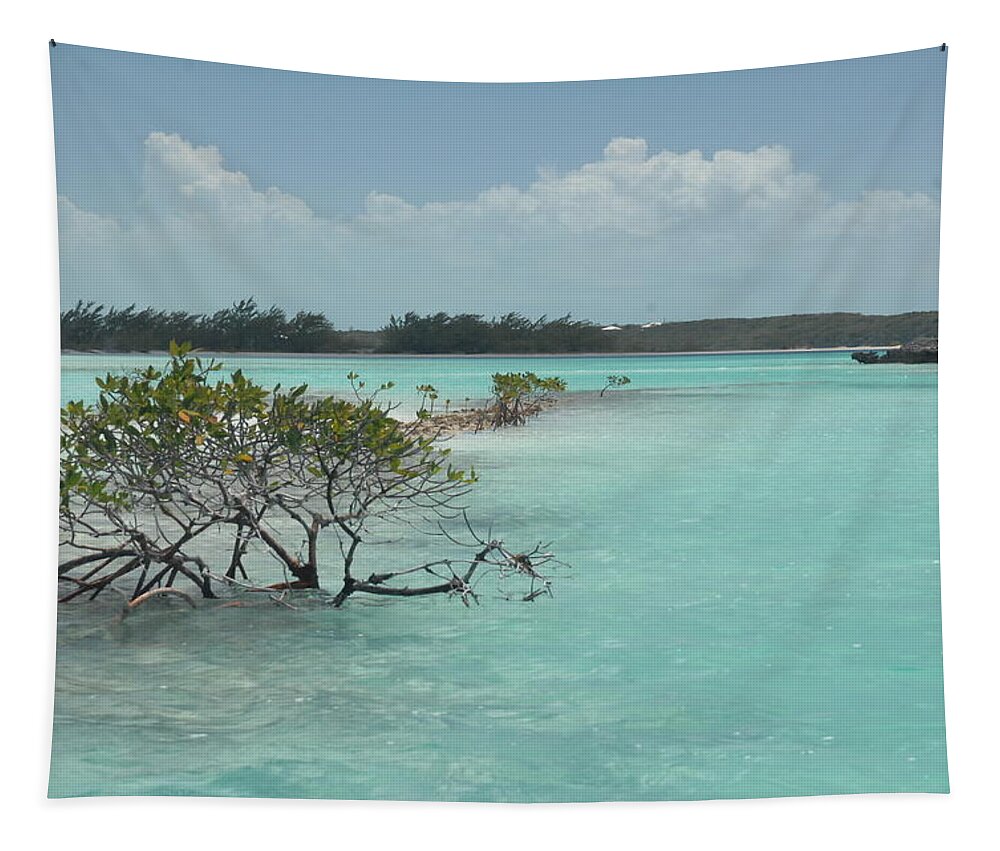 Caribbean Tapestry featuring the photograph Caribbean Paradise in Turquoise Waters, Exuma Bahamas by Bonnie Colgan