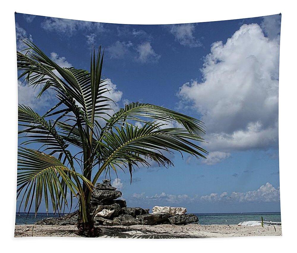 Palm Tree Tapestry featuring the photograph Paradise Picnic by Brad Barton