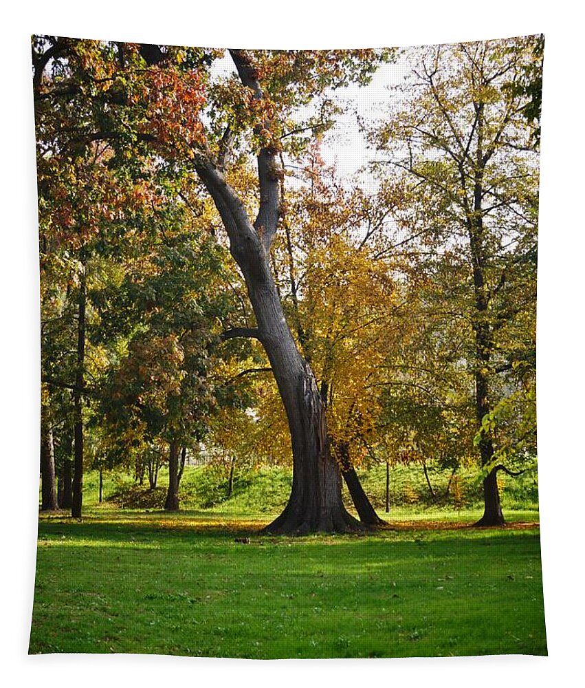 Trees Tapestry featuring the photograph Parco Cavour. Ottobre 2016 #8 by Marco Cattaruzzi