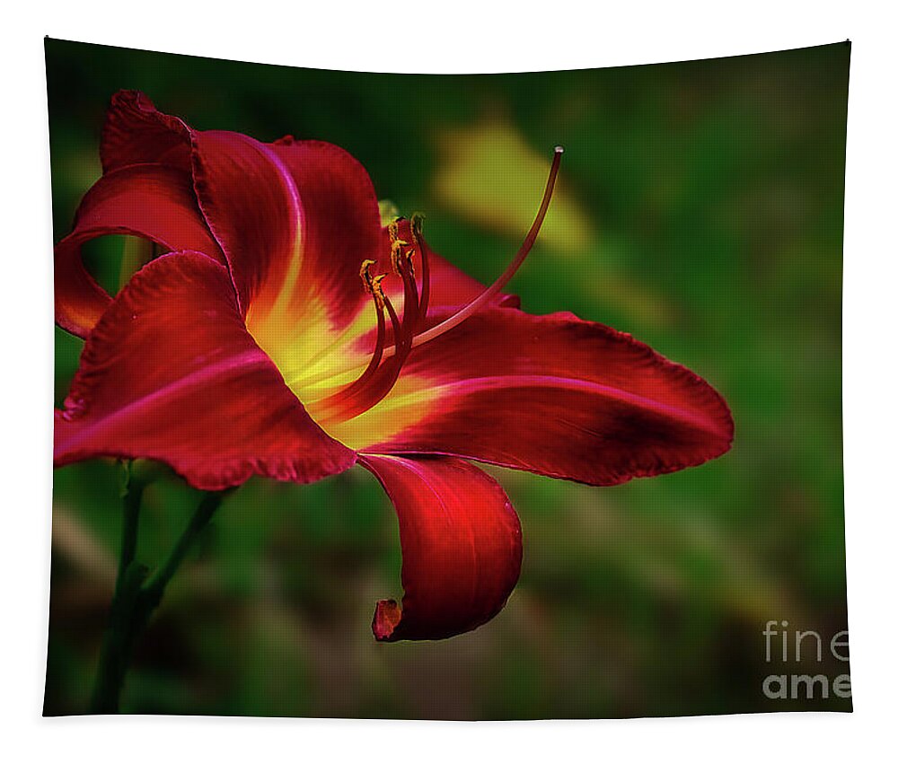 Blossom Tapestry featuring the photograph Passion for Red Daylily by Shelia Hunt