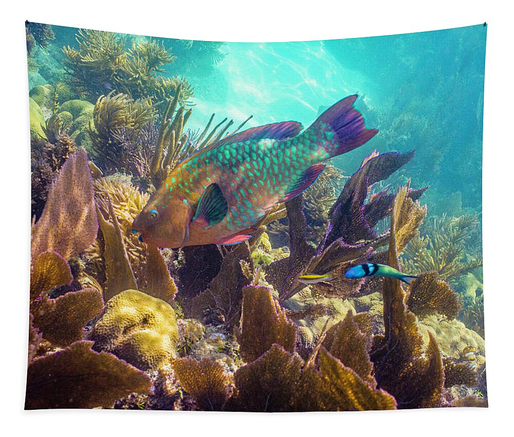 Animals Tapestry featuring the photograph Path to Atlantis by Lynne Browne