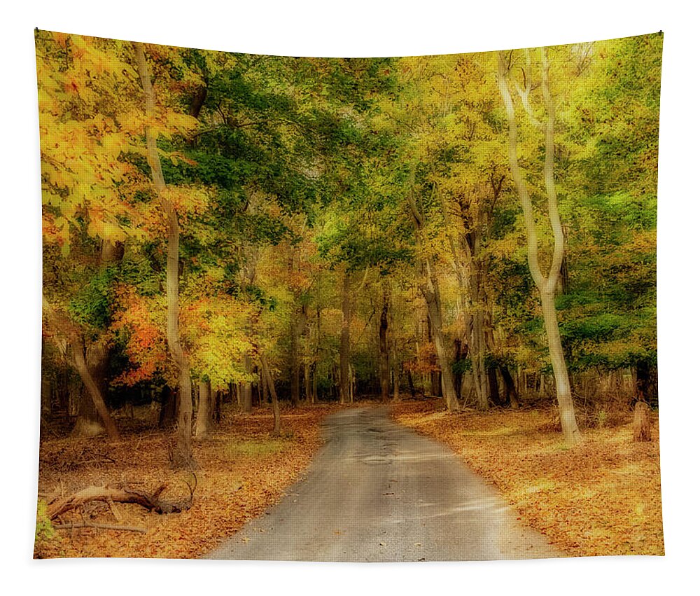 Autumn Tapestry featuring the photograph Path To Autumn by Cathy Kovarik