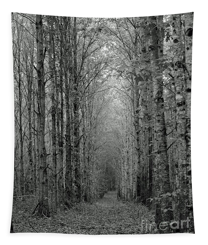 Forest Tapestry featuring the photograph Pathway by Patricia Caldwell