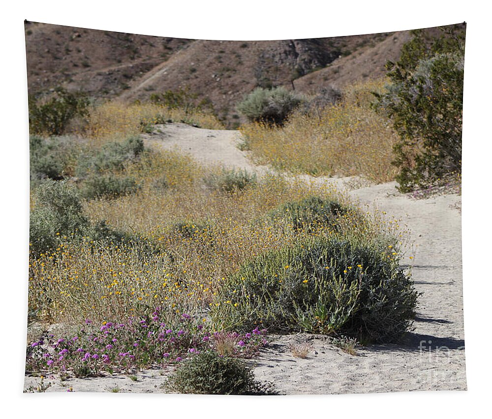 Desert Oasis Tapestry featuring the photograph Pathway Through The Brittle Bush Coachella Valley Wildlife Preserve by Colleen Cornelius
