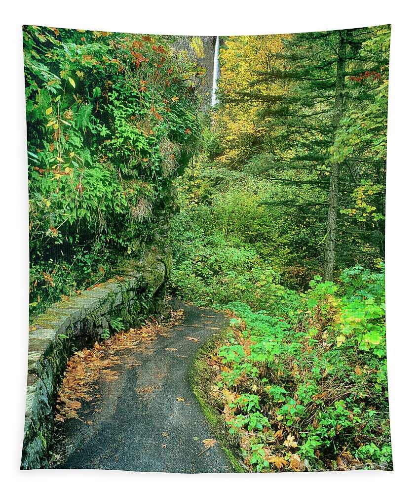 Dave Welling Tapestry featuring the photograph Pathway To Latourelle Falls Columbia River Gorge National Park by Dave Welling