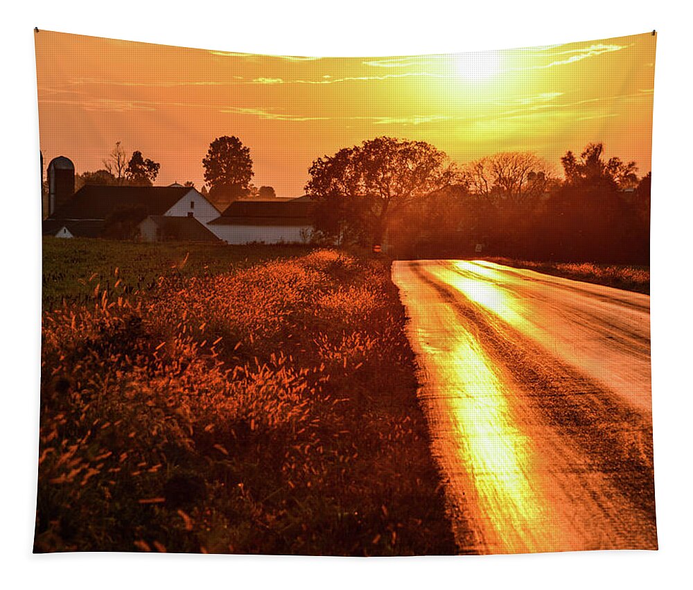 Amish Tapestry featuring the photograph Paved with Gold by Tana Reiff
