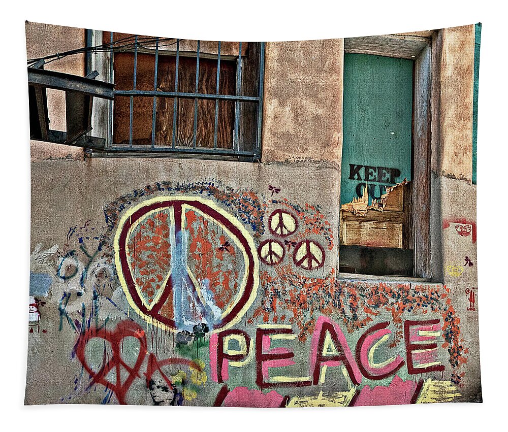 Back Alley Tapestry featuring the photograph Peace, Baby by Carmen Kern