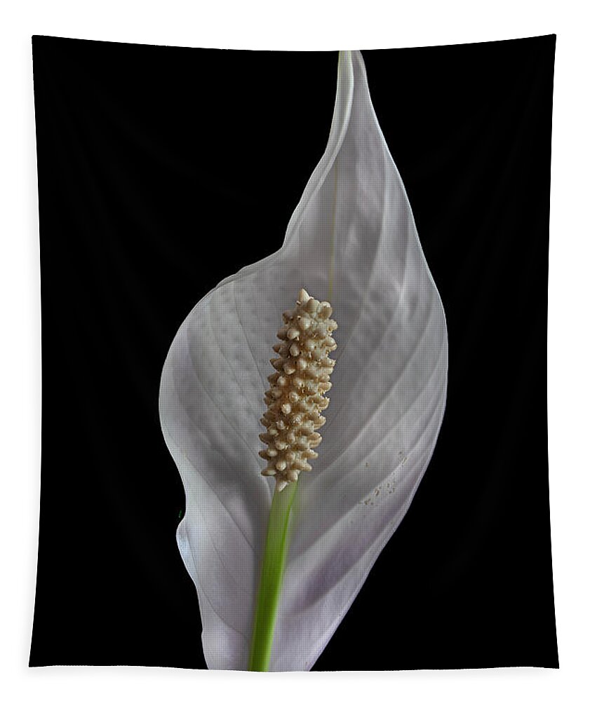 Peace Lily Tapestry featuring the photograph Peace Lily 2 by Endre Balogh
