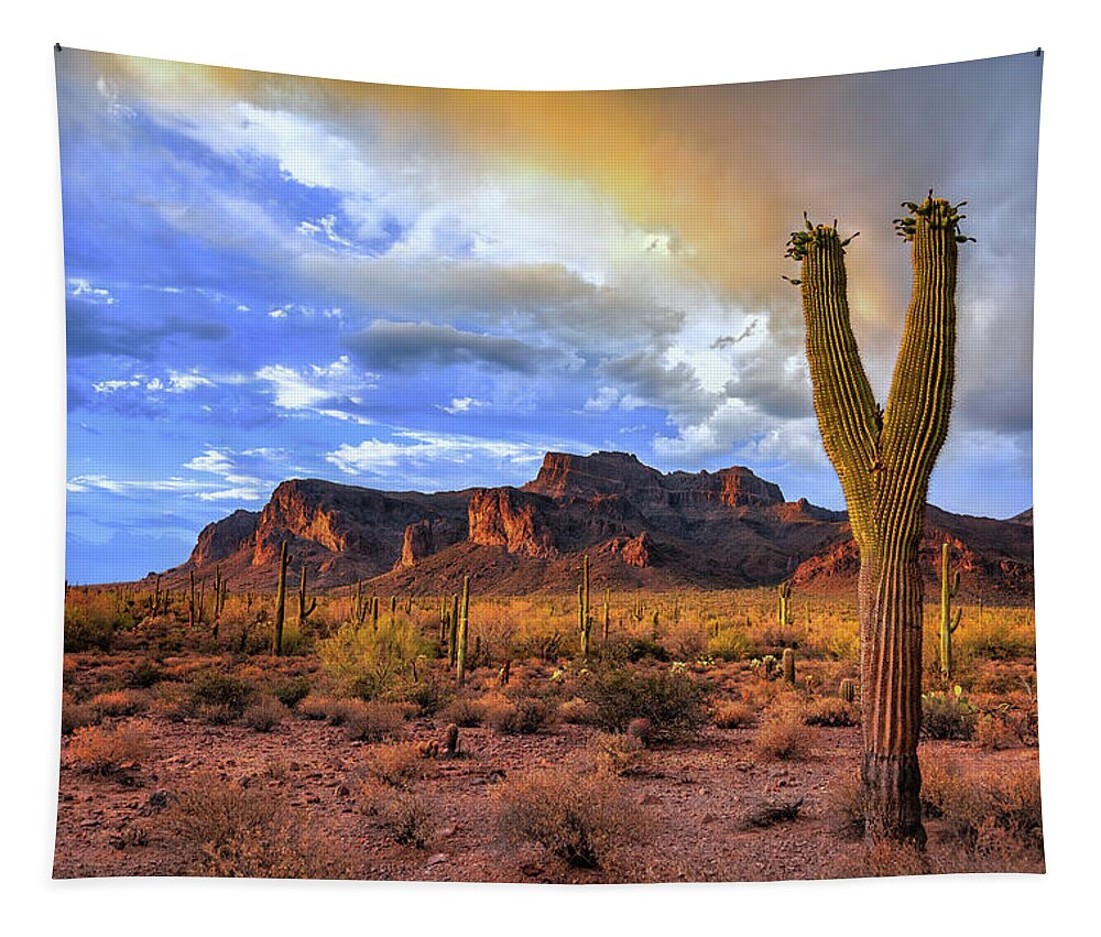 American Southwest Tapestry featuring the photograph Peace Out by Rick Furmanek