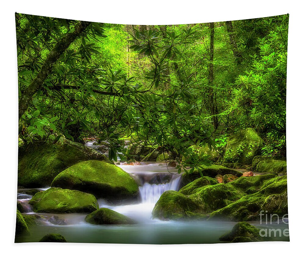 Waterfall Tapestry featuring the photograph Peaceful Cascades in the Forest by Shelia Hunt
