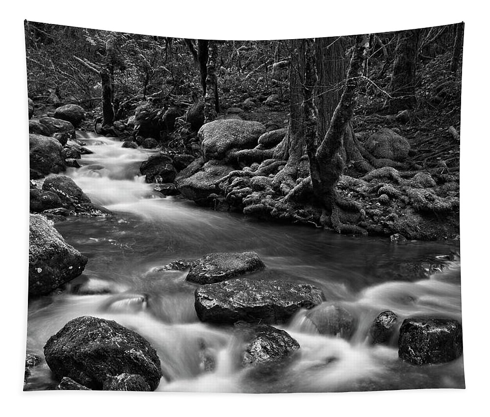 Landscape Tapestry featuring the photograph Peaceful Flow Black and White by Allan Van Gasbeck