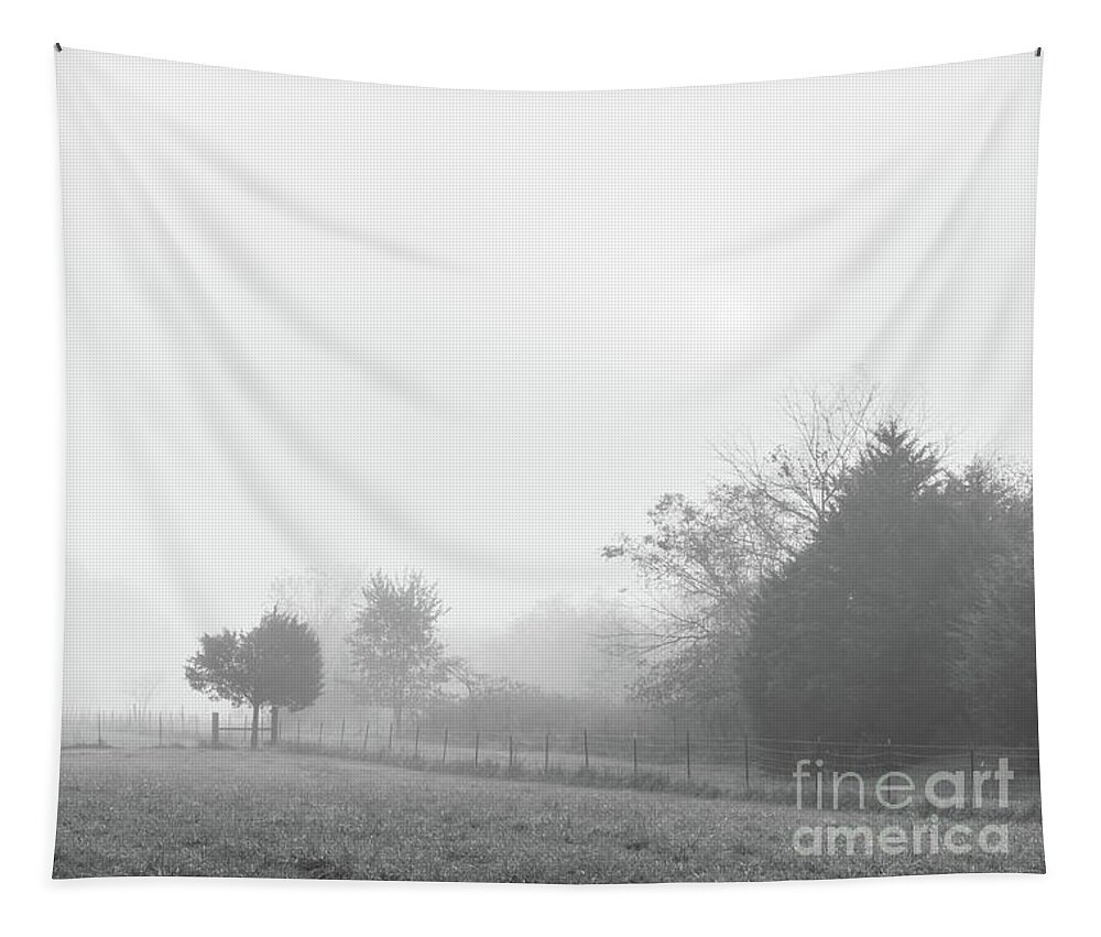 Fog Tapestry featuring the photograph Peaceful Foggy Countryside Grayscale by Jennifer White