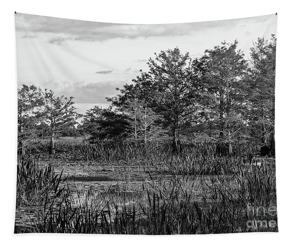 Black And White Tapestry featuring the photograph Peaceful Morning by Jo Ann Gregg